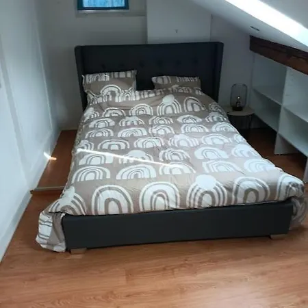 Ferienwohnung Le Duplex De La Reine - T3 Cosy Au Coeur De Chambéry Exterior foto