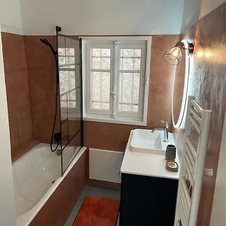 Ferienwohnung Le Duplex De La Reine - T3 Cosy Au Coeur De Chambéry Exterior foto