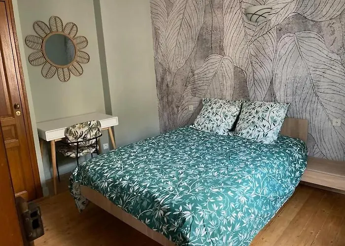 Le Duplex De La Reine - T3 Cosy Au Coeur De Chambery