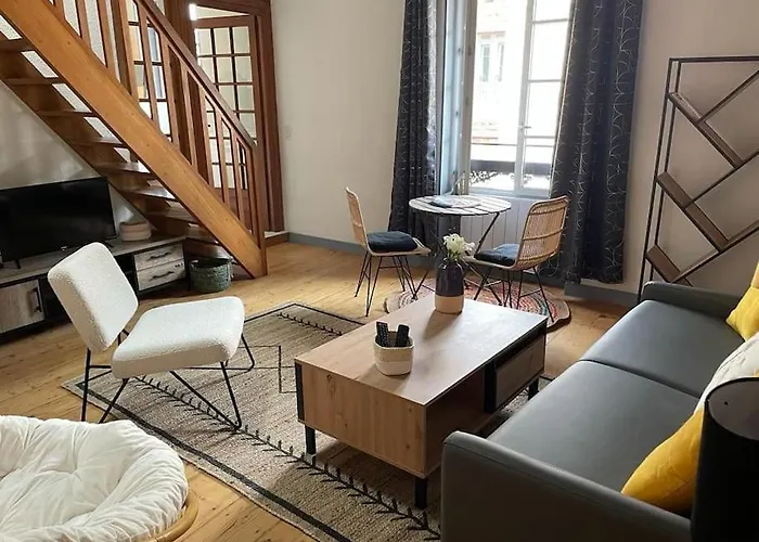Le Duplex De La Reine - T3 Cosy Au Coeur De Chambery